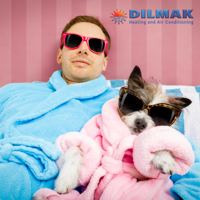 AC For Pets Dilmak Heating and Air Conditioning San Antonio